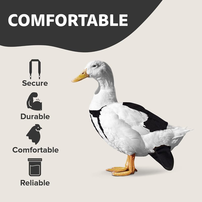 Holster Hen Wrap-Around Duck Diaper with Removable Liner & Adjustable Tab – Pekin Duck Diapers for Pet Ducks, Bird Diaper, Duck Accessories – Durable, Secure Fit, Easy-to-Wear - Made in USA - Black - Image 4